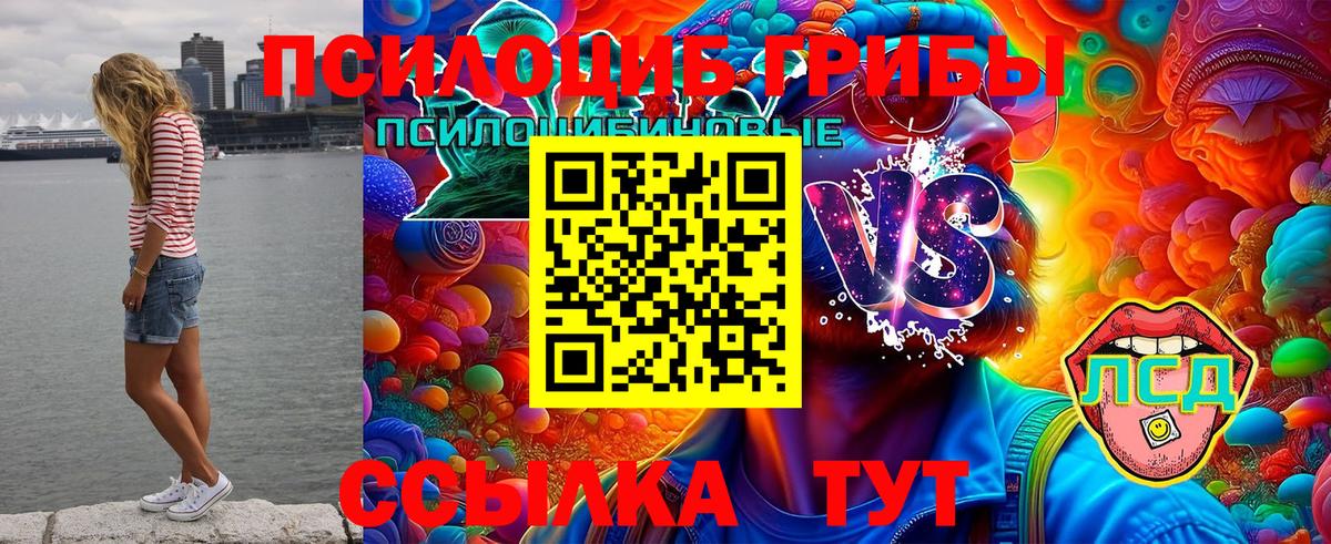 Галлюциногенные грибы Magic Shrooms  Вход с VPN  Тихорецк 