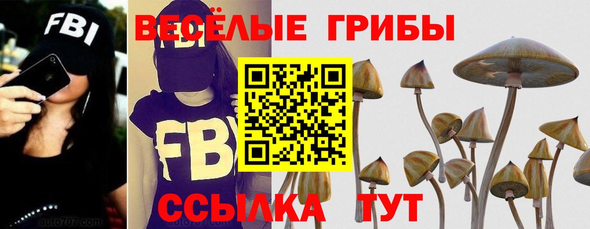 Псилоцибиновые грибы ЛСД Тихорецк